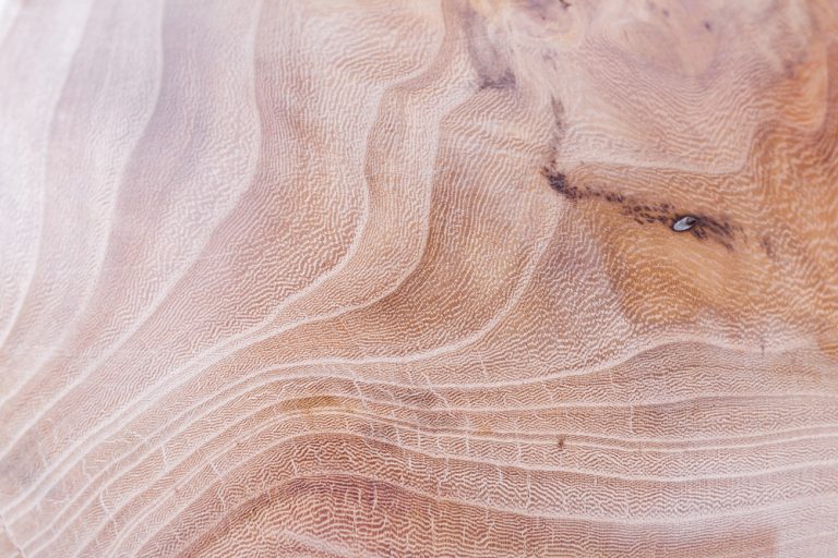 Is Elm A Hardwood Or A Softwood?