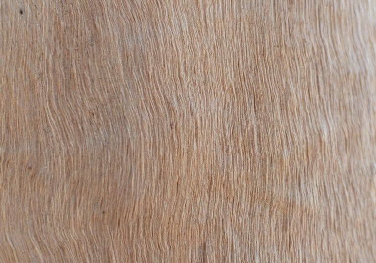 How To Tell The Direction Of Wood Grain