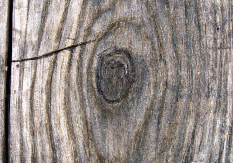 How To Tell The Direction Of Wood Grain