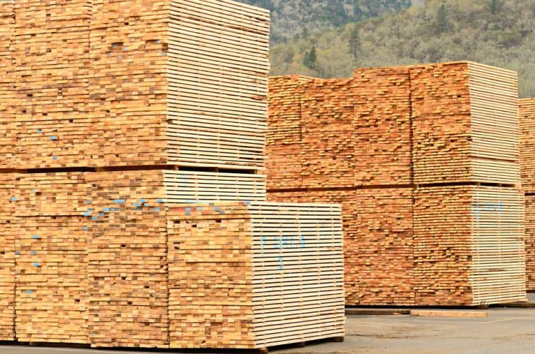 How Long Does Wet Wood Take To Dry?
