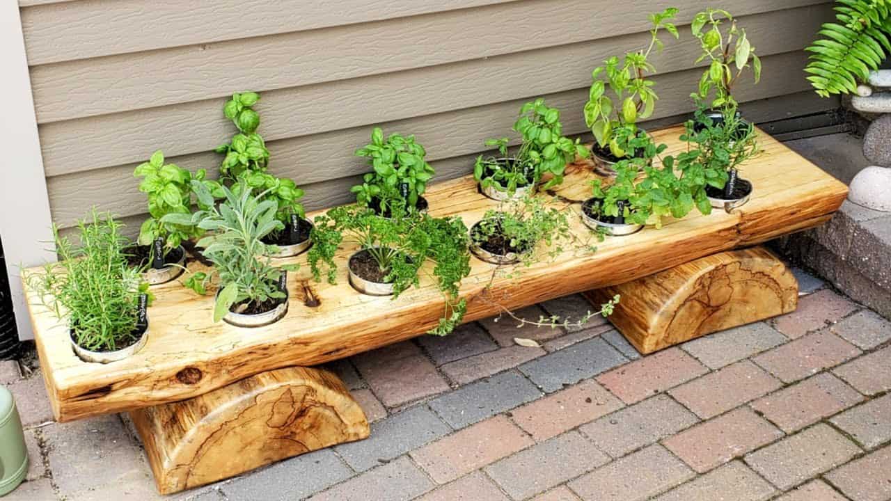 Live Edge Herb Planter from a Fallen Tree