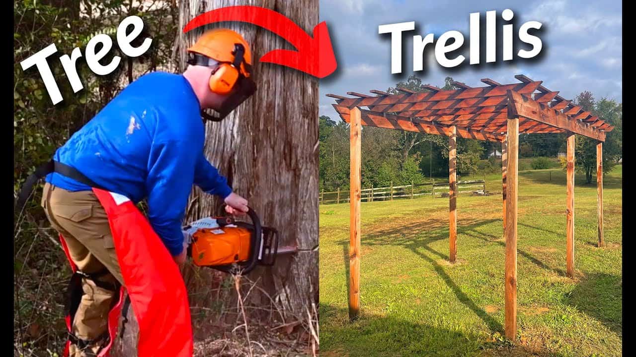 Turning a Dying Cedar Tree into a Garden Trellis