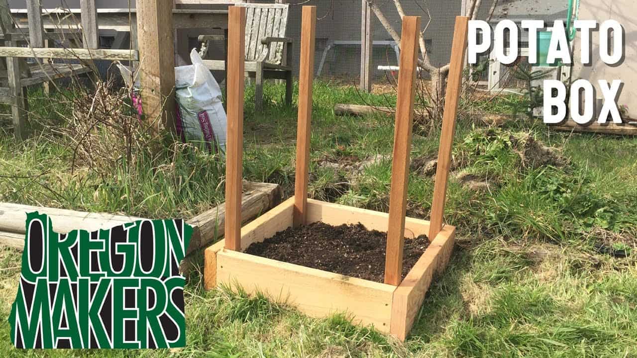 How to Grow 100 Pounds of Potatoes in a Small Space