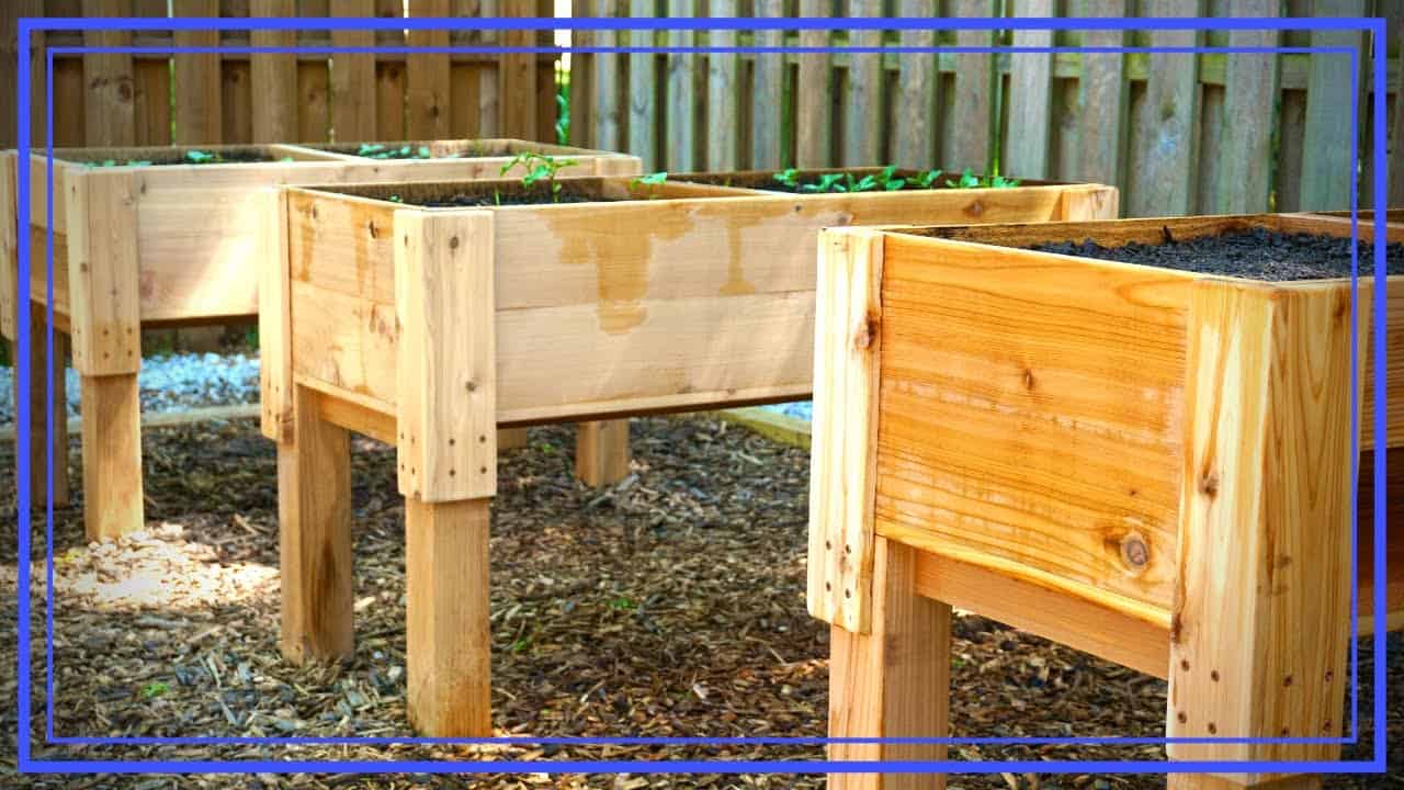 Elevated Cedar Planter Boxes for Accessible Gardening