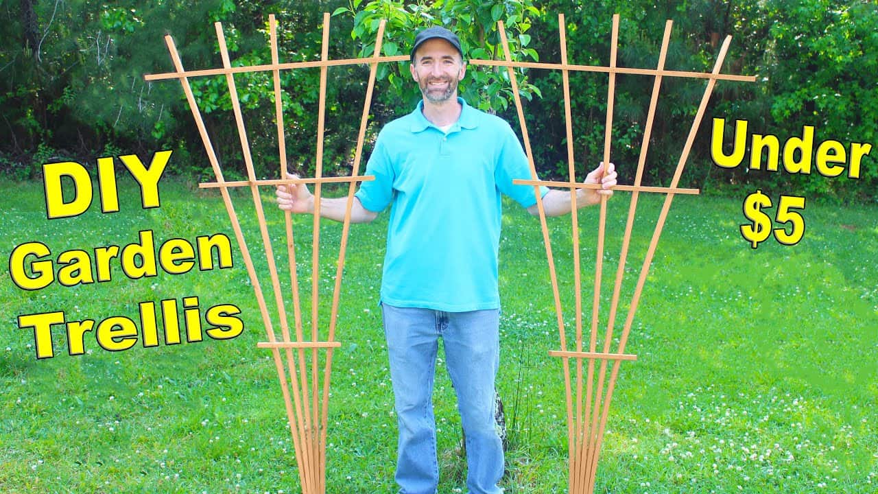 DIY 6-Foot Fan Trellis Using One Fence Board