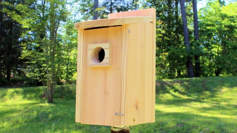Simple One-Board Cedar Birdhouse