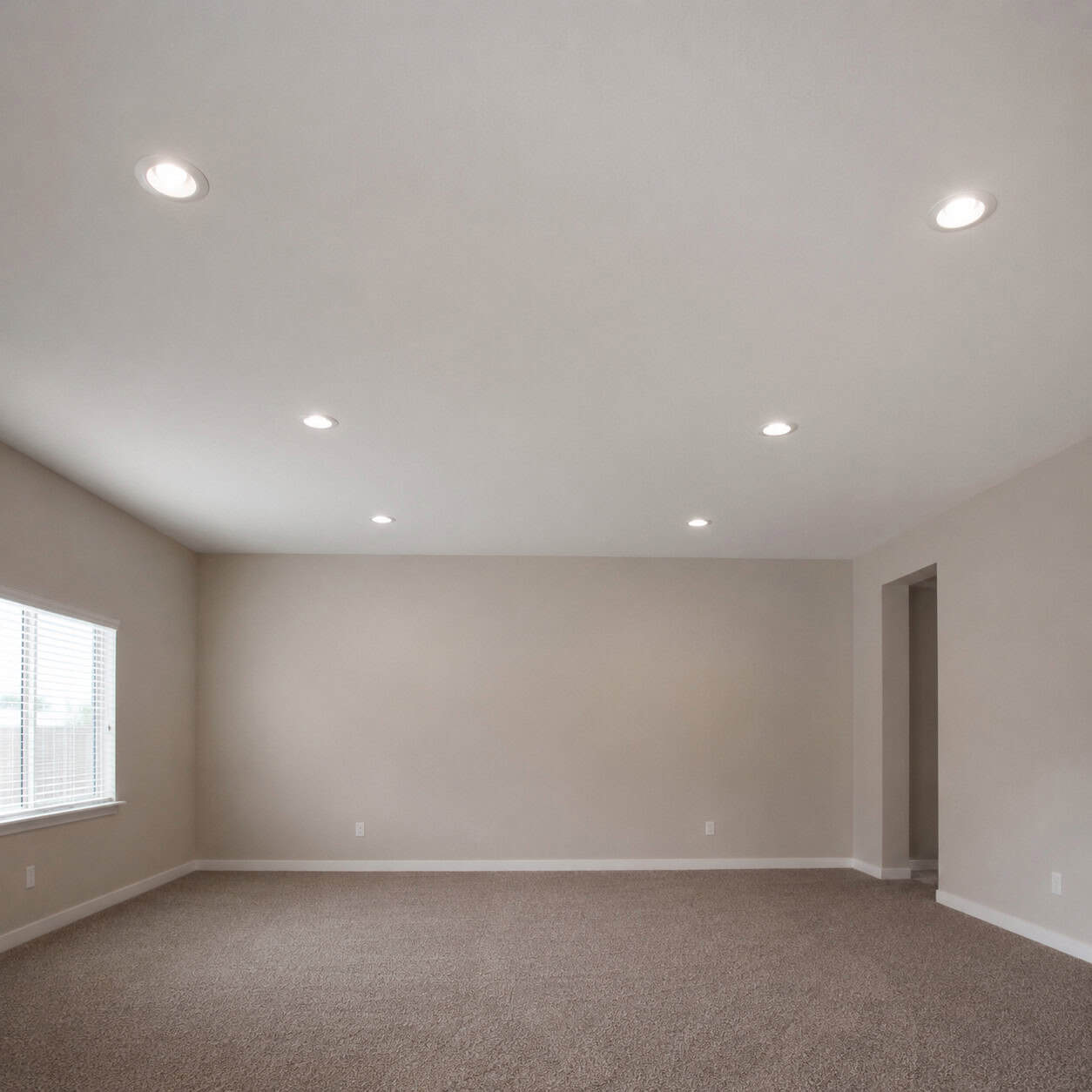Recessed Cans Doing 100% of the Lighting