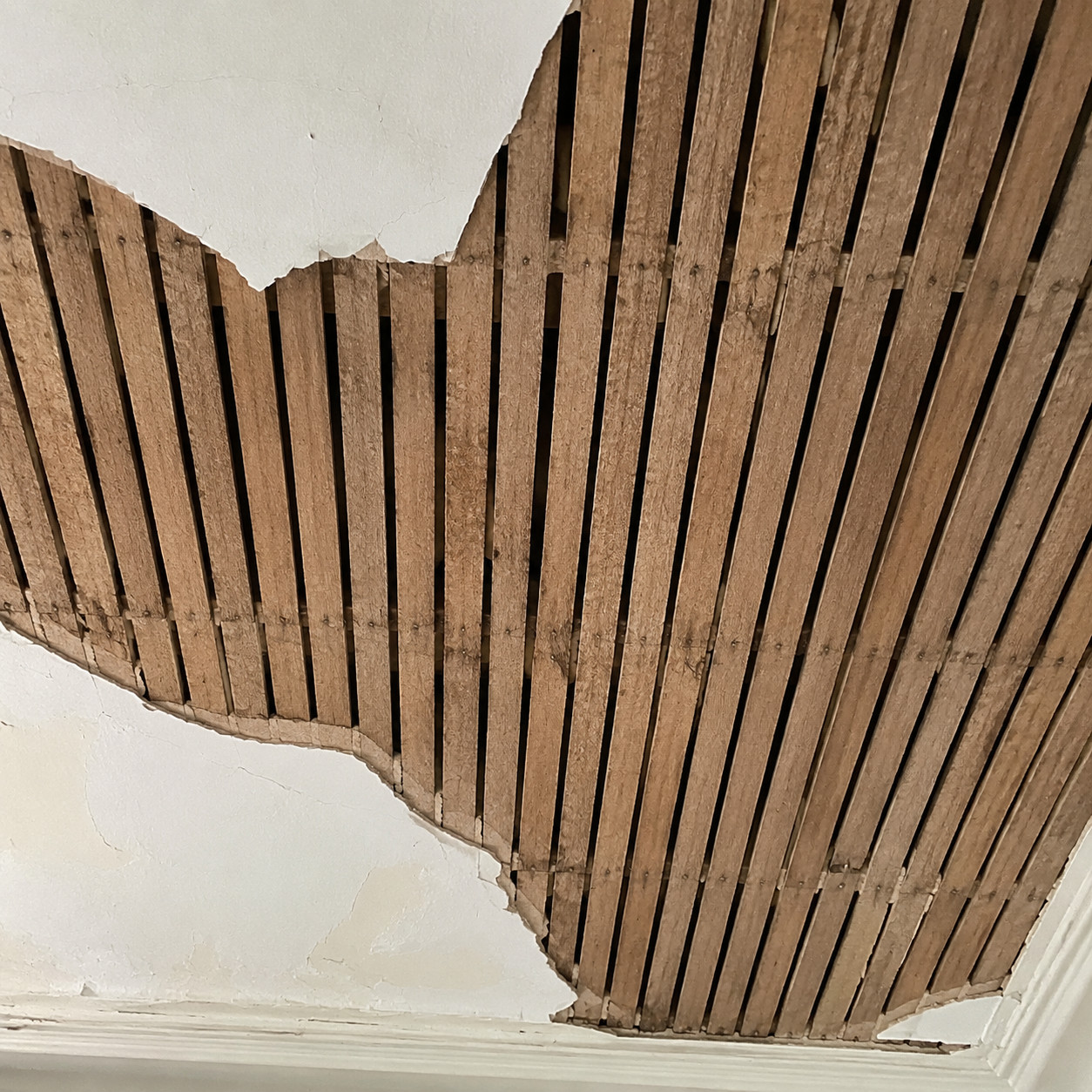 Circular-Sawn Wood Lath
