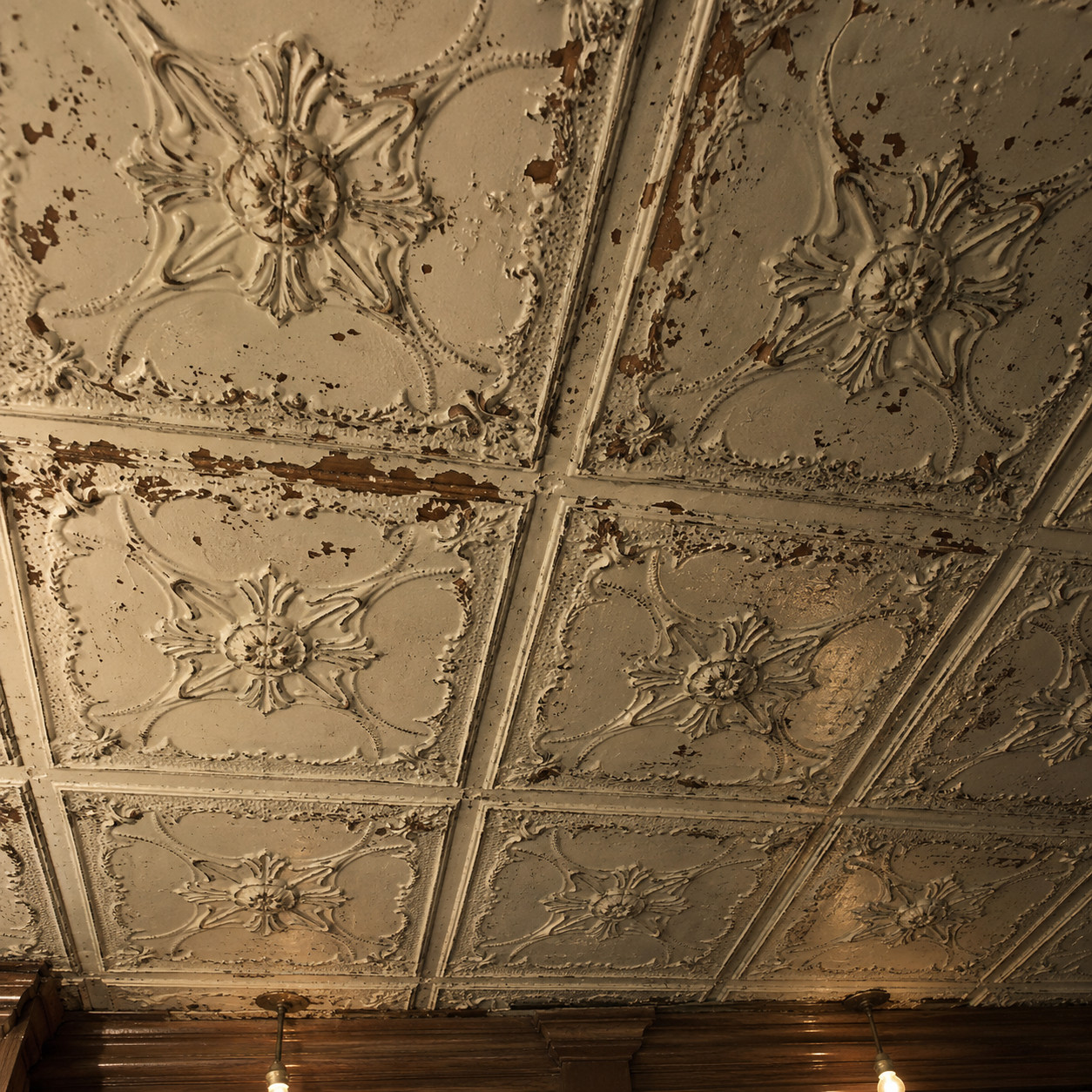 Pressed Tin Ceiling