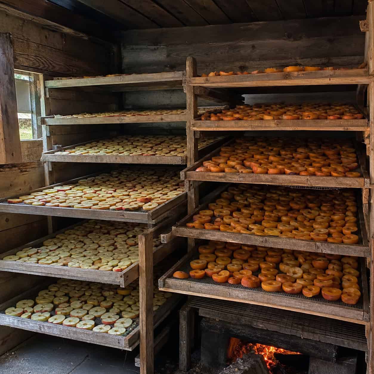 The Dry House (Fruit & Apple Drying)