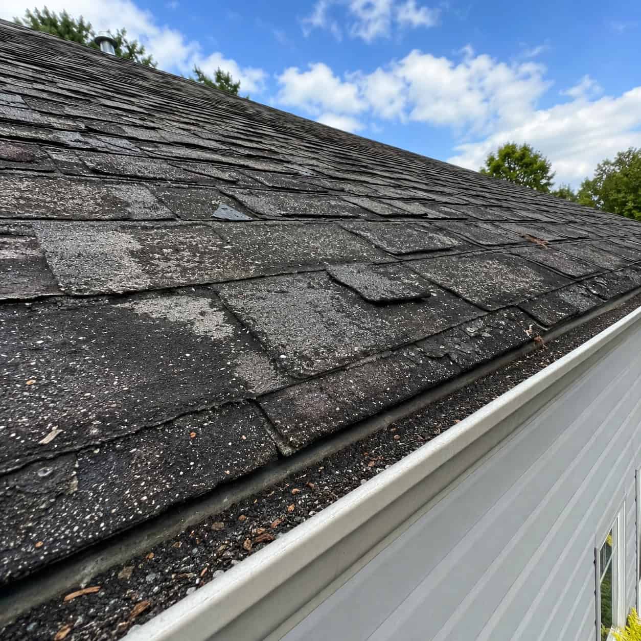 The Old Roof Was Left Untouched