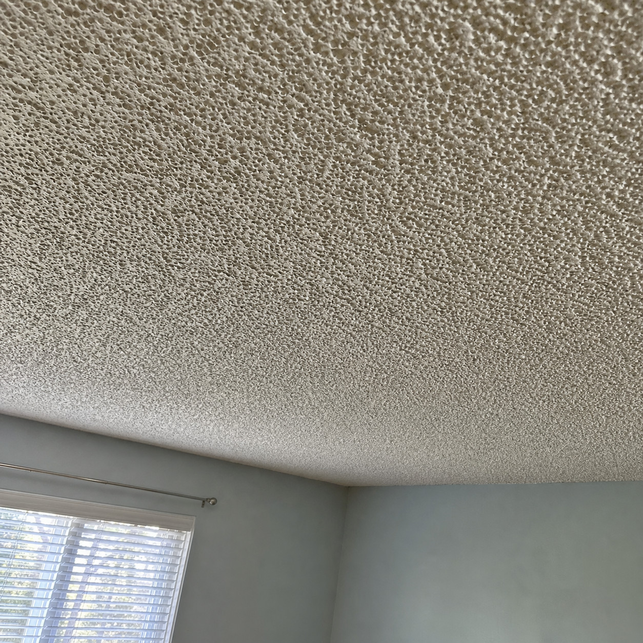 Popcorn (Acoustic Spray) Ceiling