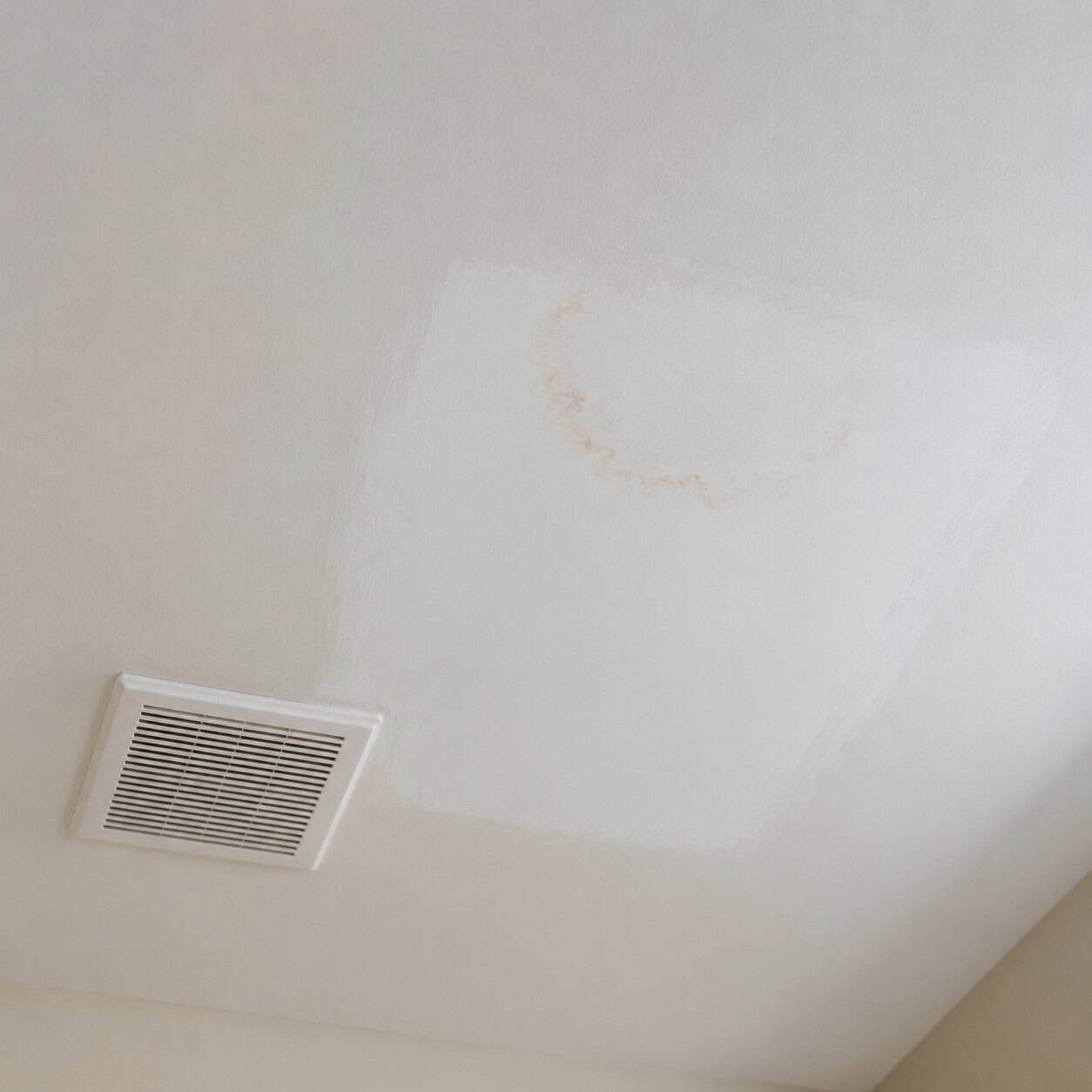 Stain-Blocked, Repainted Ceilings