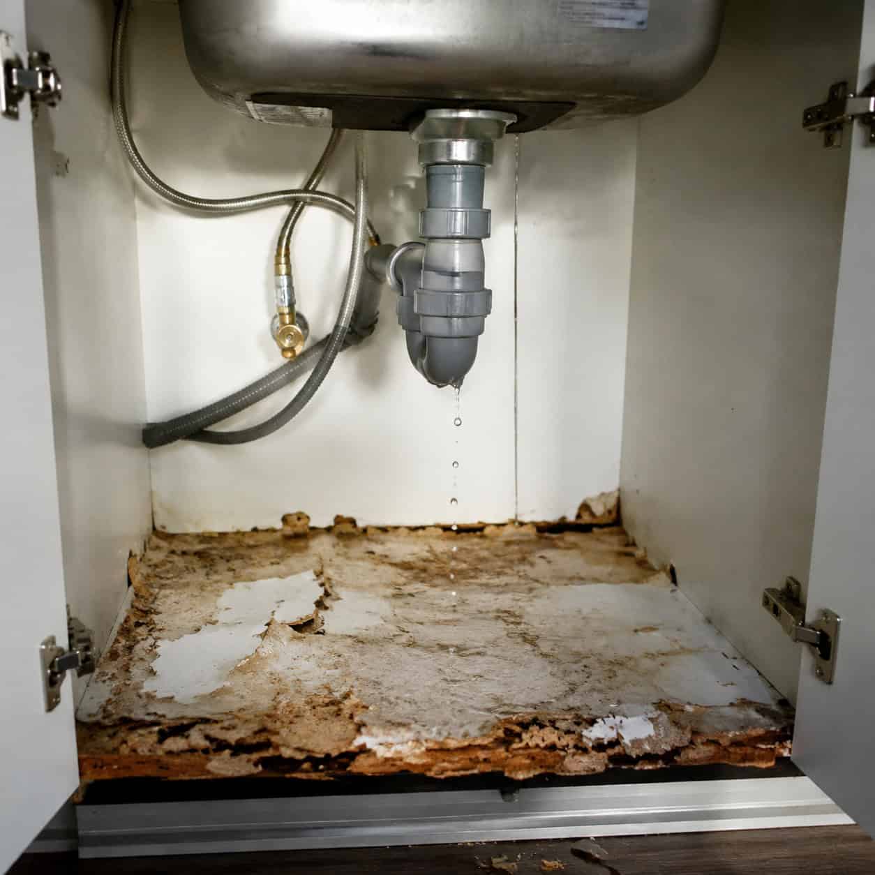 Painted or Refaced Cabinets Over Water-Damaged Boxes