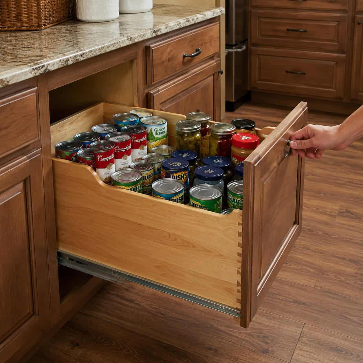 Pull-Out Pantry & Cabinet Roll-Outs