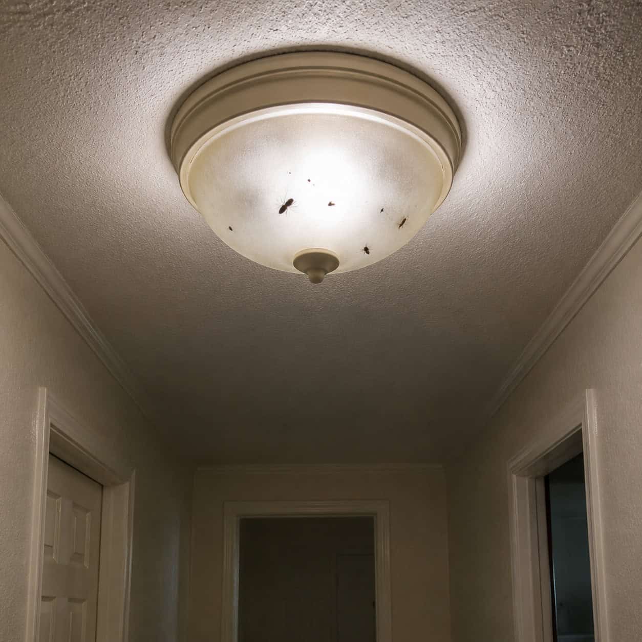 Flush-Mount Dome Ceiling Lights