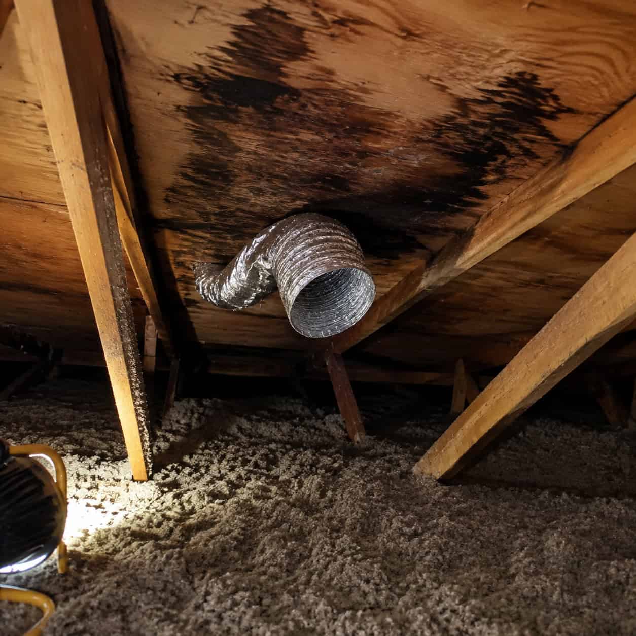 Bath Fans Vented Straight Into the Attic