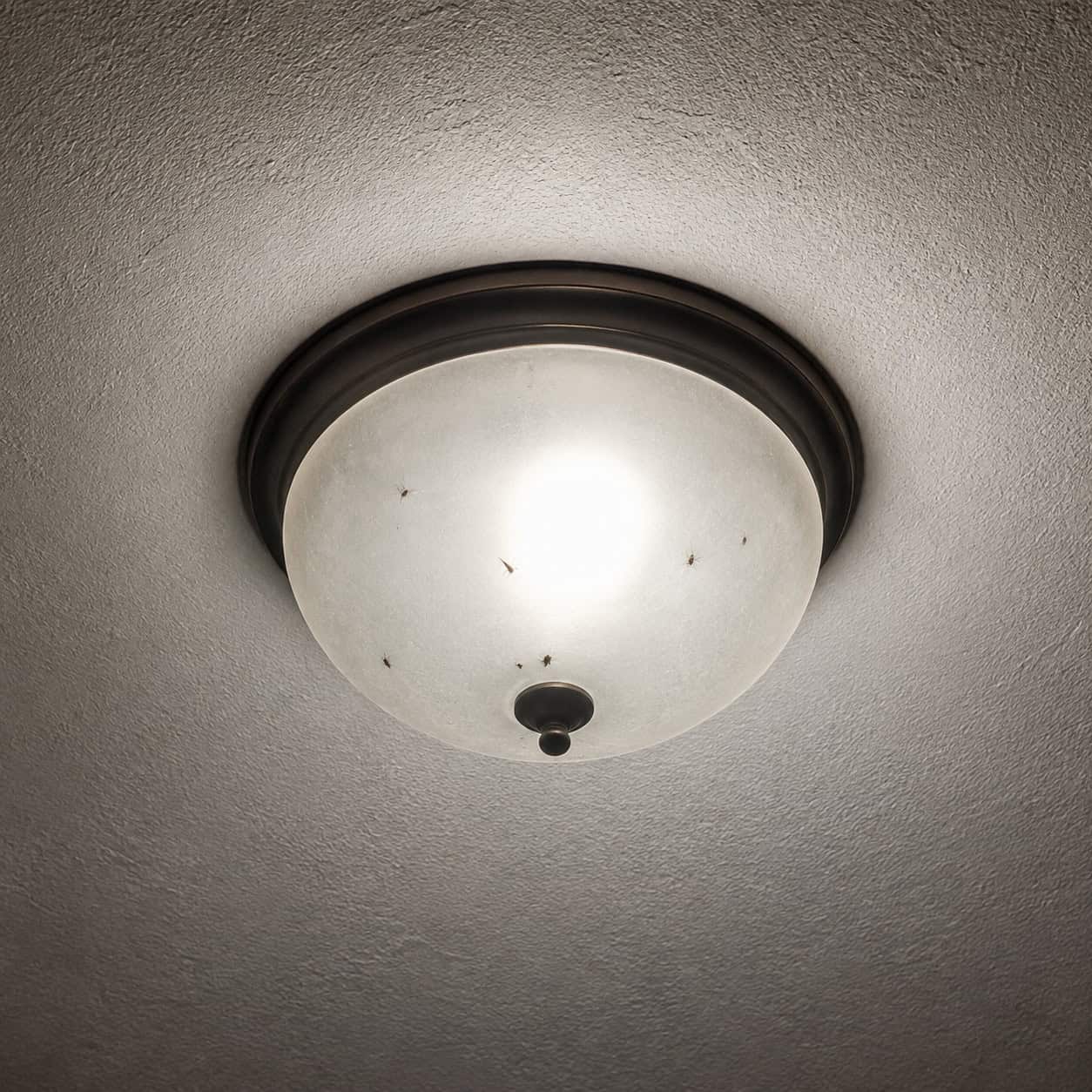 Flush-Mount Dome Ceiling Lights