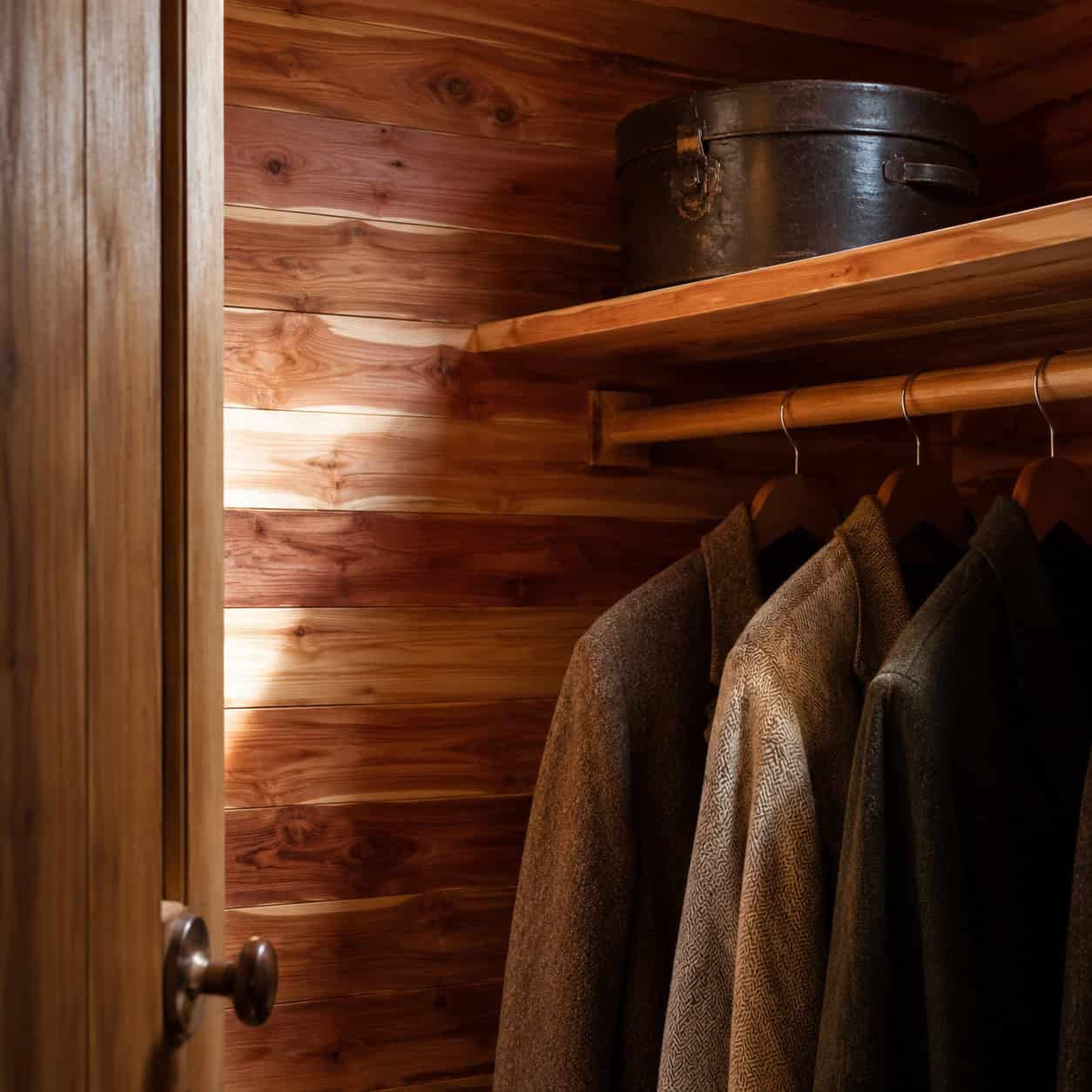 The Cedar-Lined Closet
