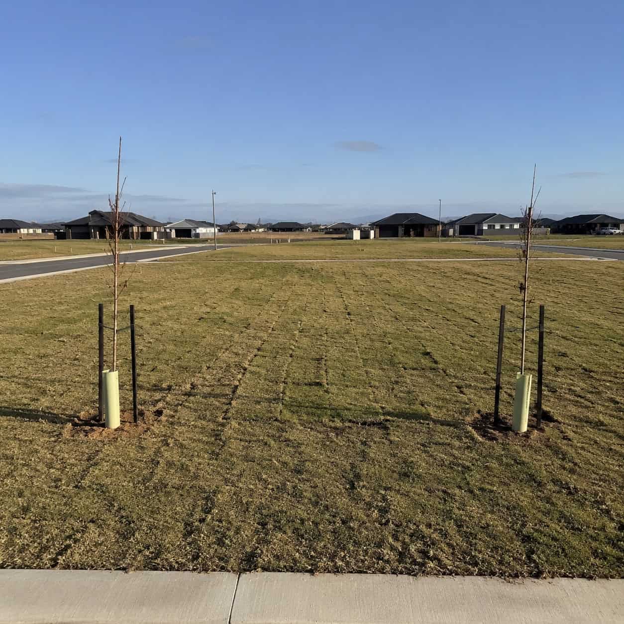 Scraped Topsoil and a Blanket of Sod