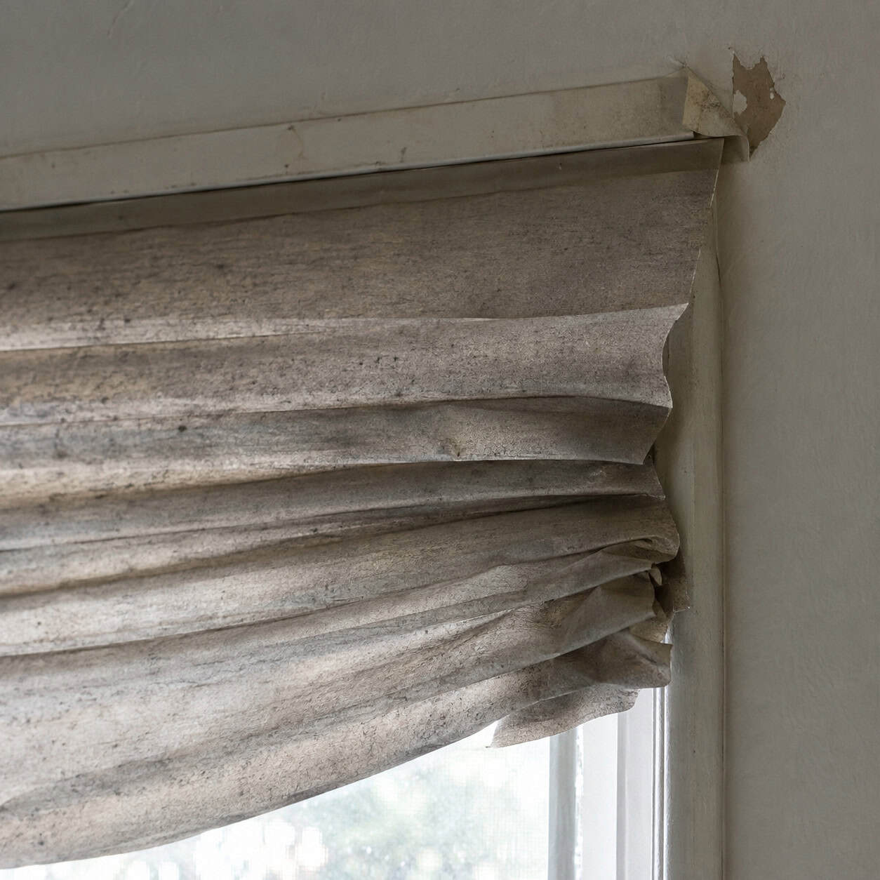 Temporary Paper Pleated Shades, Two Years Later
