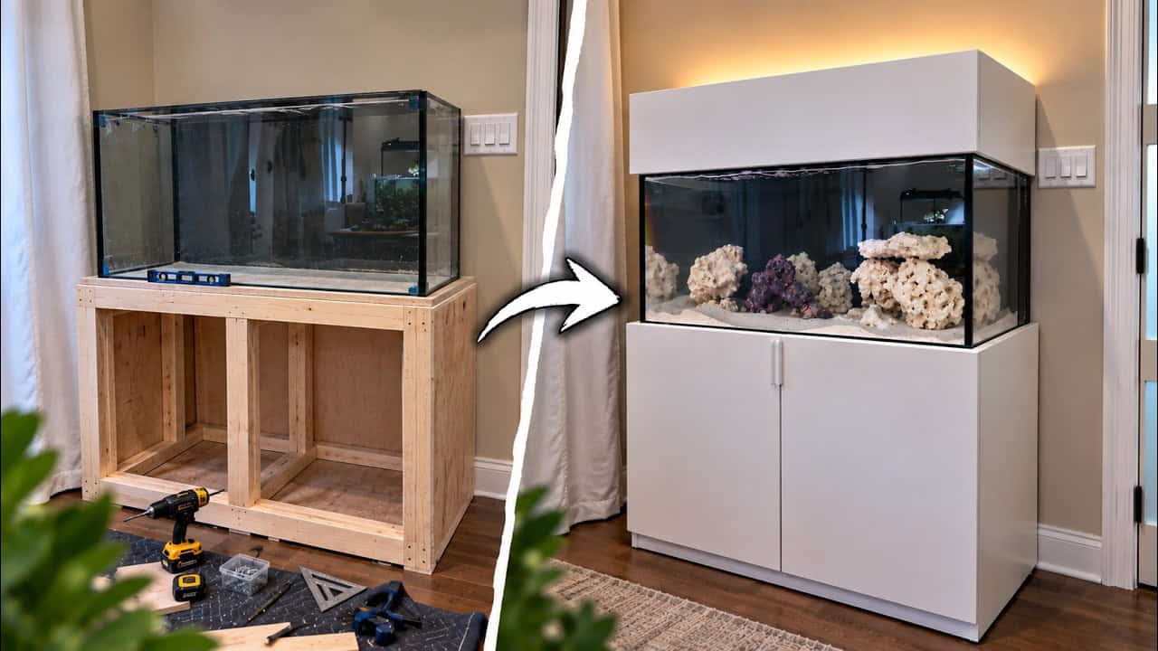 Building a Custom Aquarium Cabinet from Birch Plywood