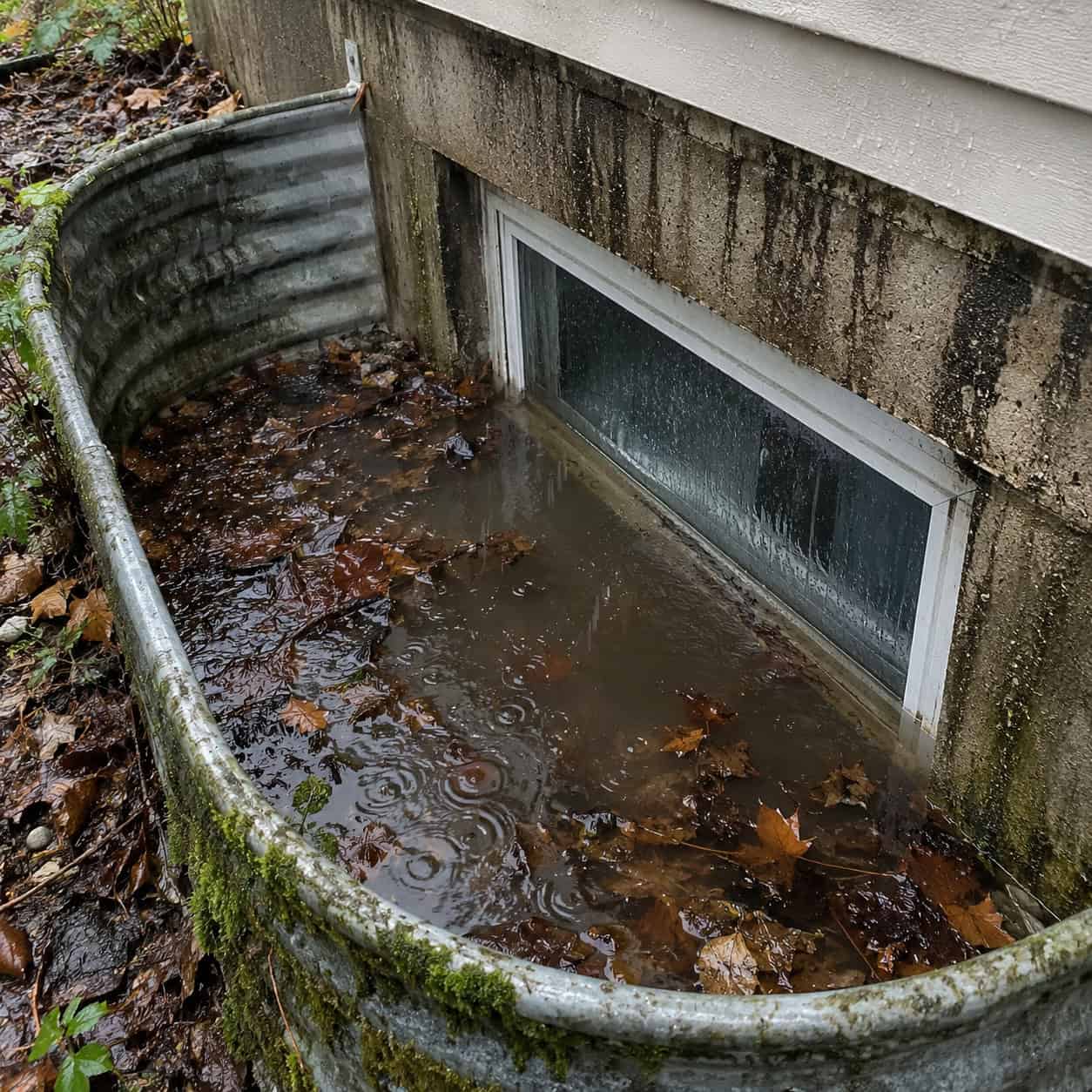 Uncovered Window Wells With Clogged Drains