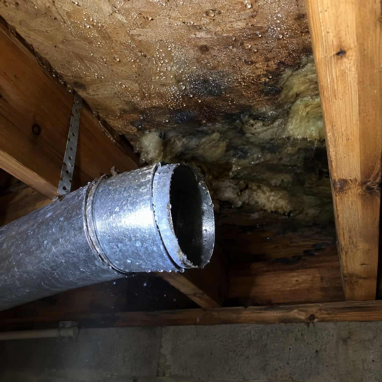 Bathroom Fan That Dumps Into a Joist Bay