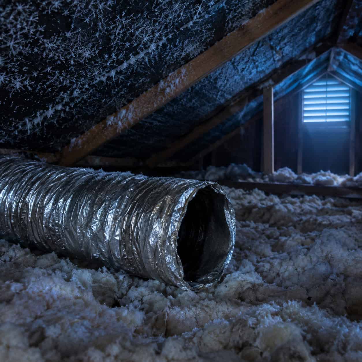 The Bathroom Fan That Vents Into the Attic