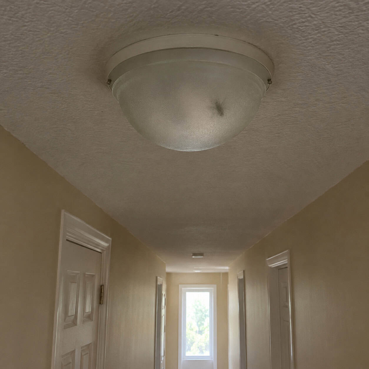 The Builder-Grade Flush-Mount Dome