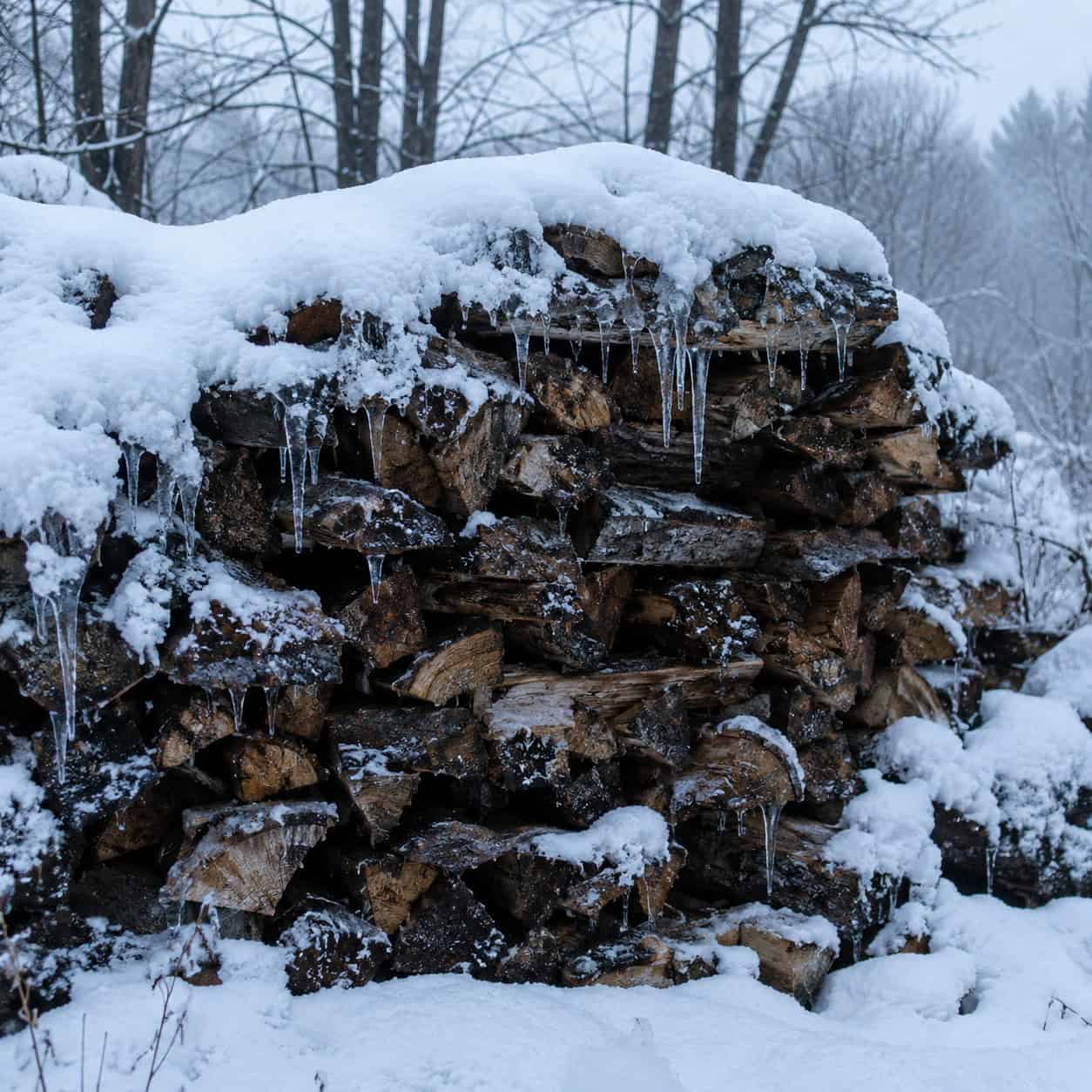 Leaving the Woodpile Uncovered All Winter
