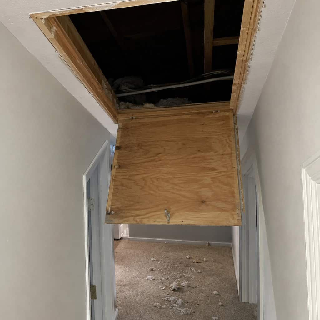 The Bare Attic Hatch or Pull-Down Stairs