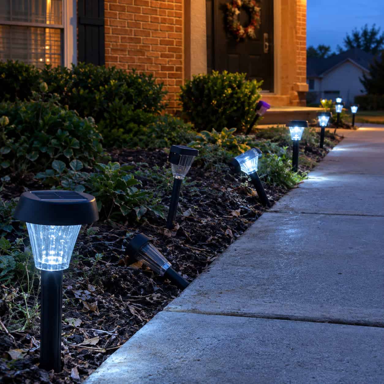Solar Path Lights Lining the Front Walk