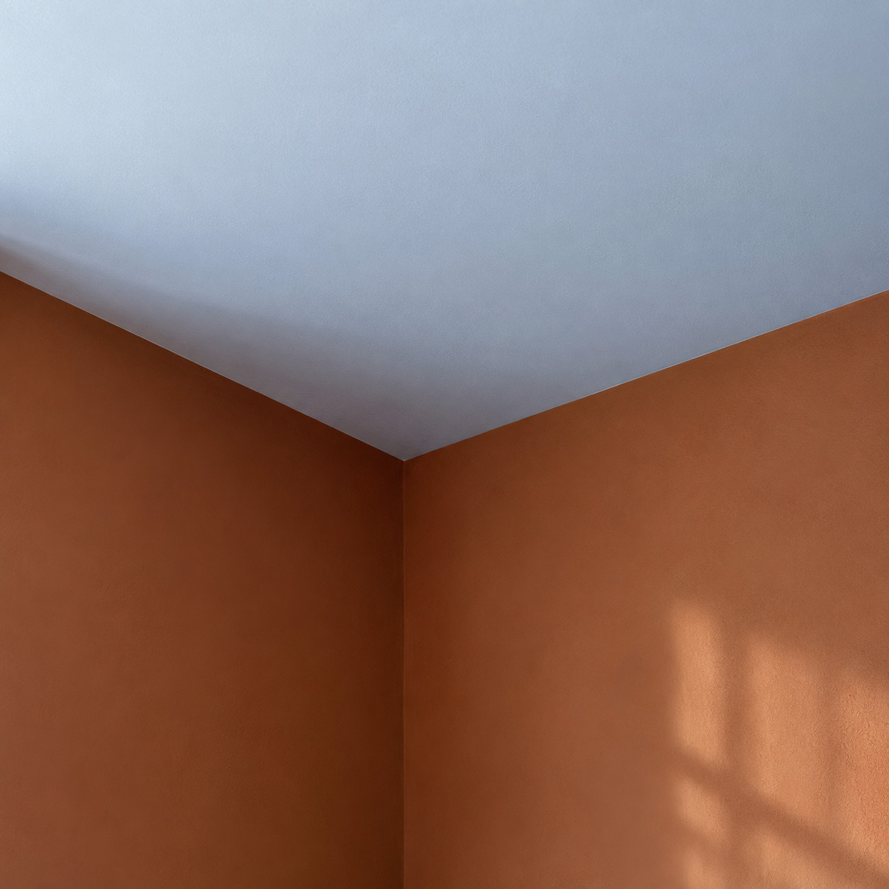A Stark White Ceiling Over Warm Walls