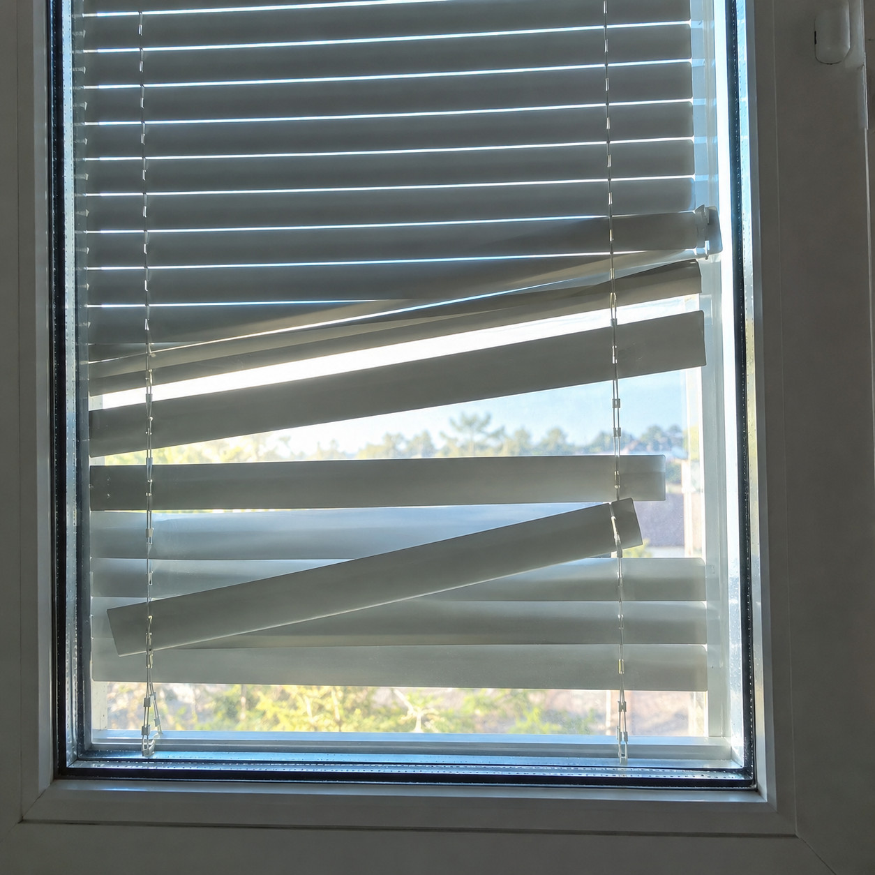 Blinds sealed between the glass