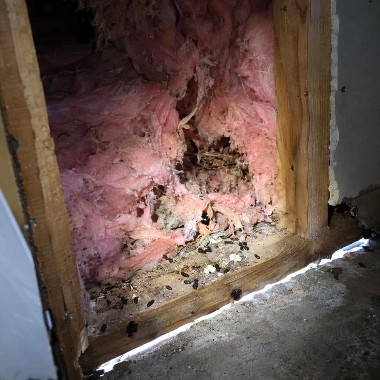 Stuffing the walls with fiberglass and no rodent exclusion