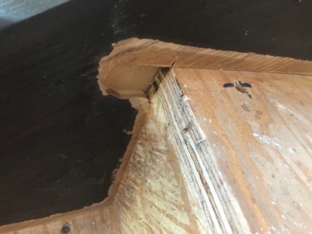 The inner stringer where the bullnose was removed, ready for an oak plug.