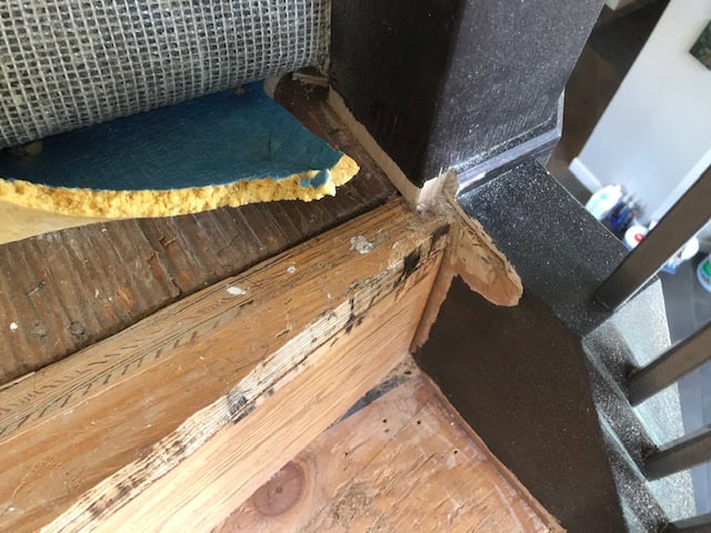 Carpet, pad and tack strip removed, with the old bullnose being cut away.